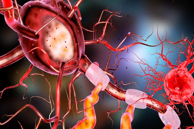 Neurony